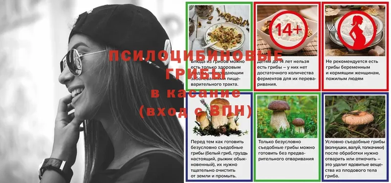 площадка какой сайт  Невельск  Галлюциногенные грибы ЛСД  кракен зеркало 